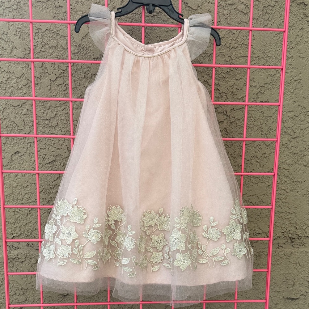 Catherine Malandrino Soft Blush Dress with Beautiful Gold Embroidery